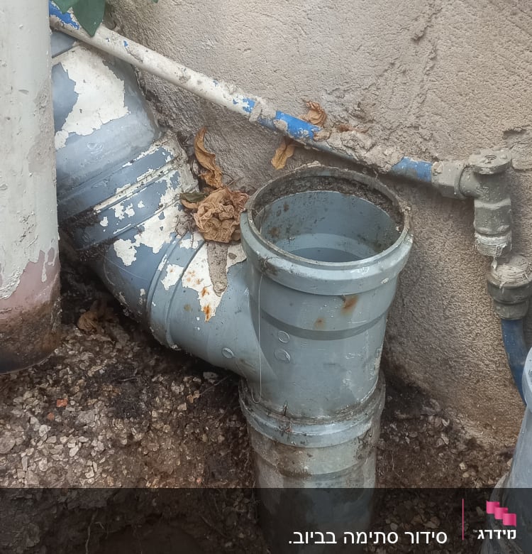 צינור ביוב חיצוני עם עלים יבשים מסביב